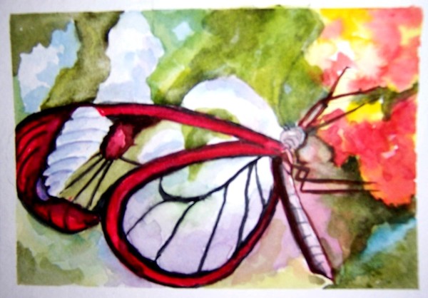 Butterfly 