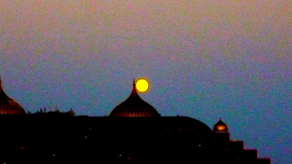 Moon Empire