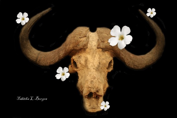 The Beauty Of Decay