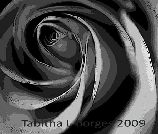 The Eye Of The Rose