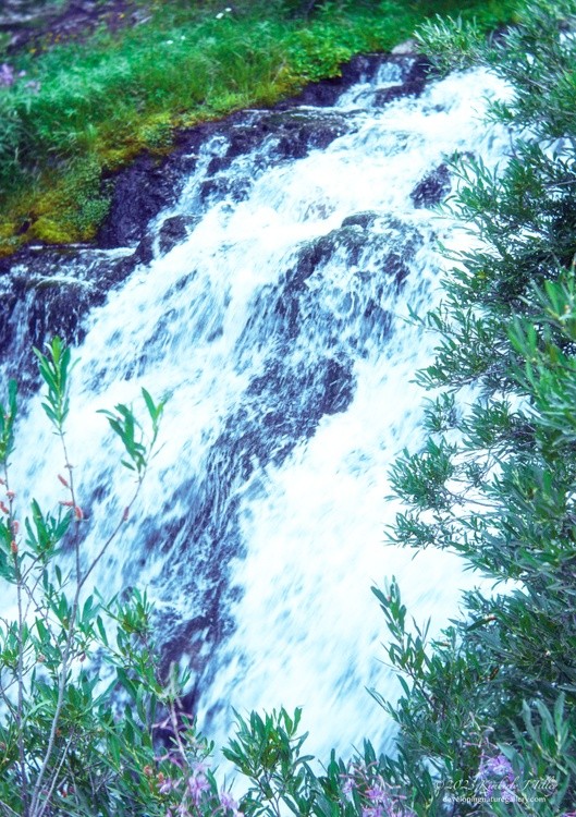 Kings Creek Falls P8343