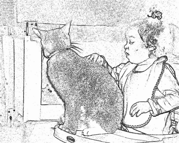 Attract Cat.