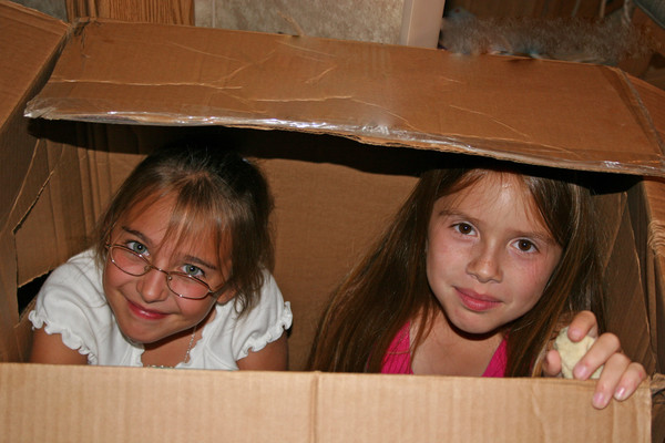 Best Friends In A Box