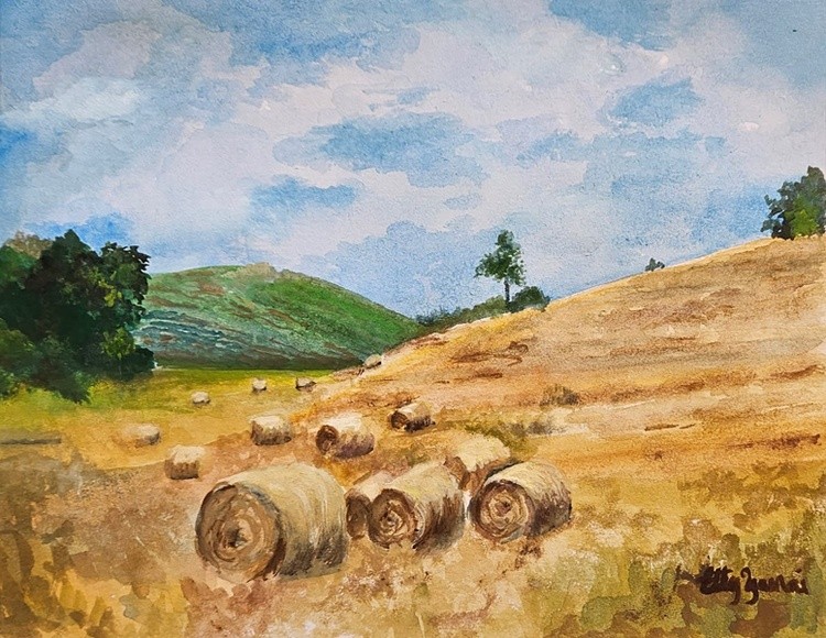 HAY DAY  