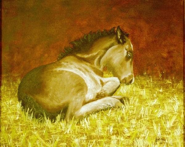 Sleeping Chocolate