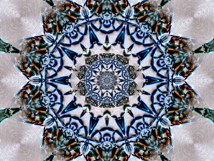 cspoel