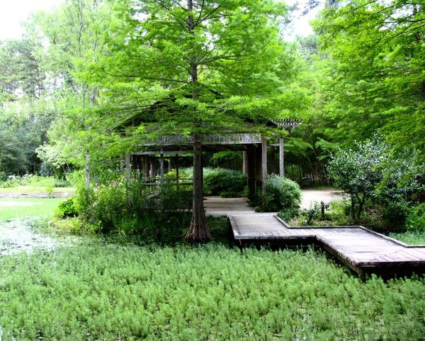Japanese Tea House