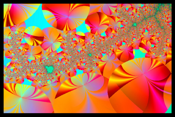Extreme Color 23