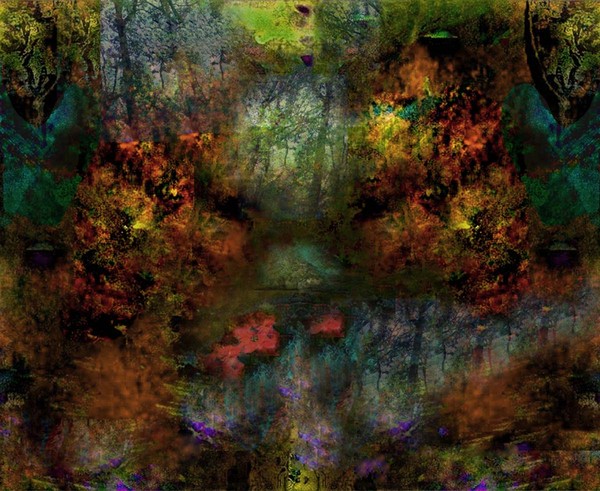 a dream of a forest