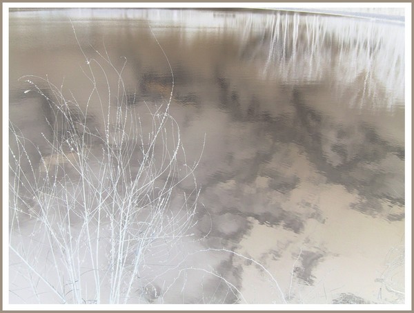 Grey Water