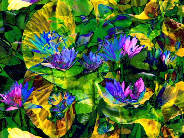 Lilies in Abstract