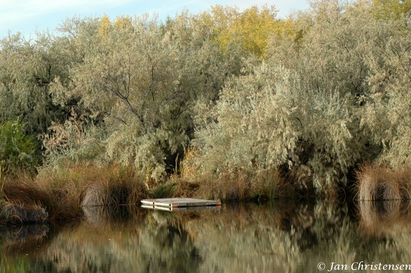 Idaho Reflection
