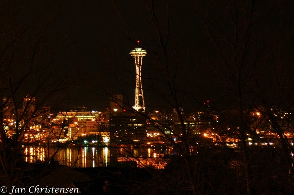 Space Needle by Night