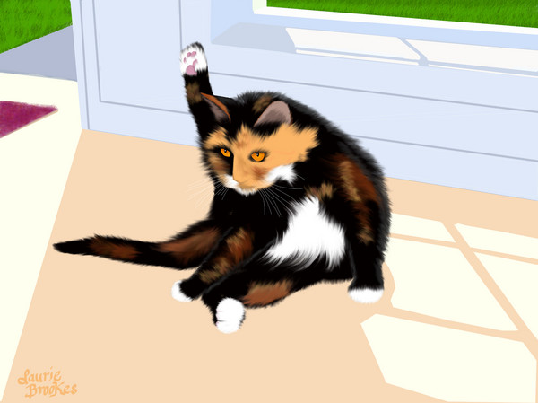 Mid-Wash Salute