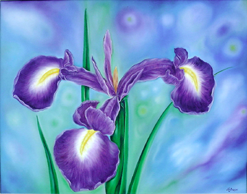 Iris