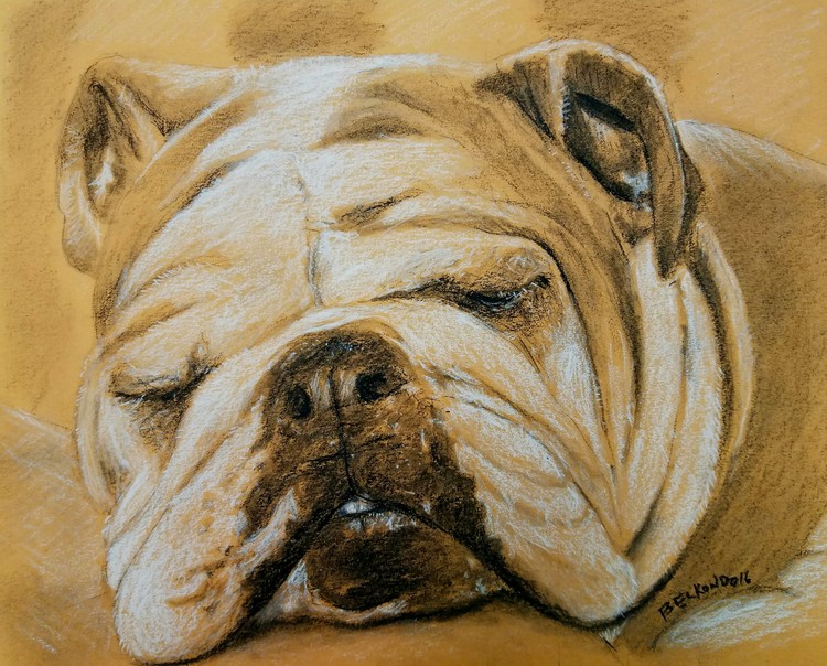 Bailey