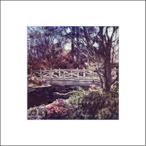 Azalea Park Bridge in the Spring