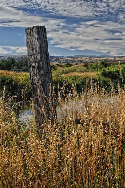 Abandoned Farm