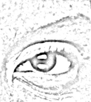 Eyes have it series