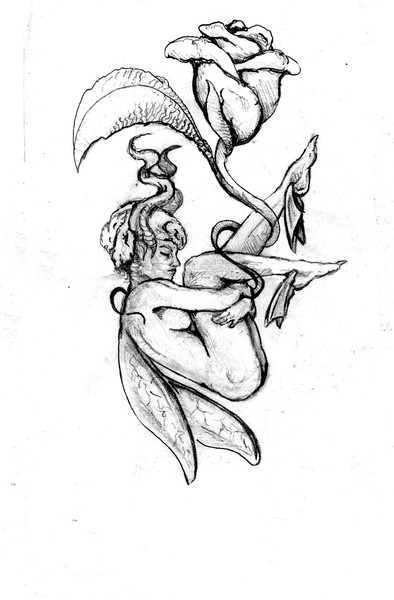 Fairy