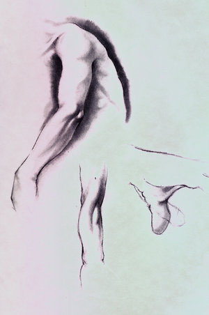 Body Studies