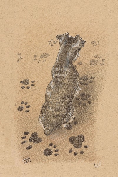 Liesl the Schnauzer