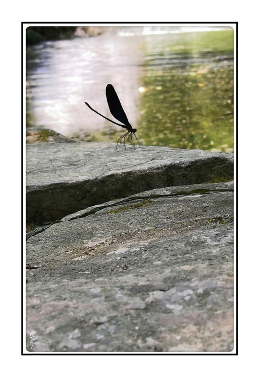 Standing at Water