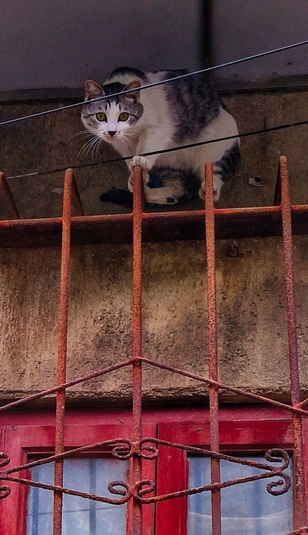 looking down at human beings
