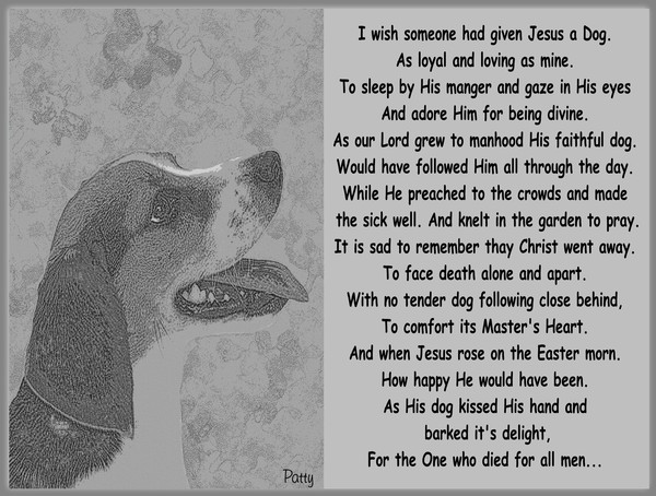 I Wish Someone Had Given Jesus a Dog...