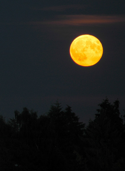 Full Moon