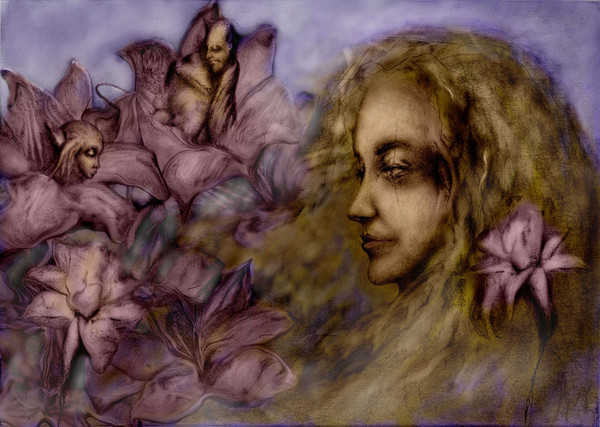 lily
