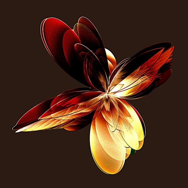 Flower - African Dance