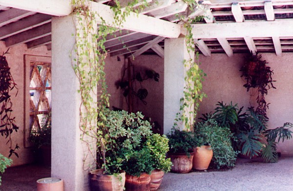 Tlaquepaque Patio Garden