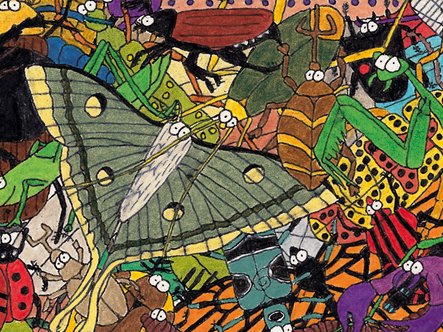 insectoo (detail)