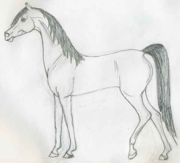 arabian2