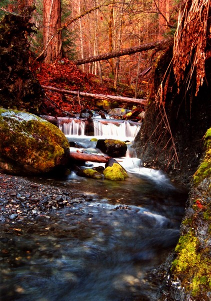 Canyon Creek in Fall
