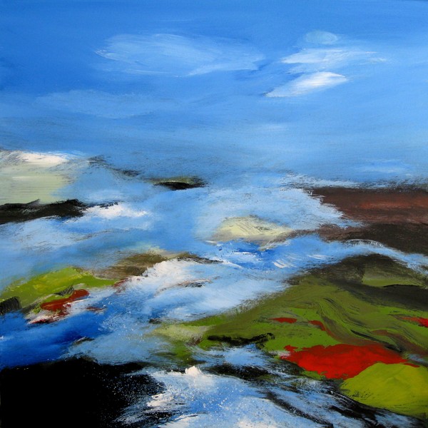 Saltings, the Dutch coast