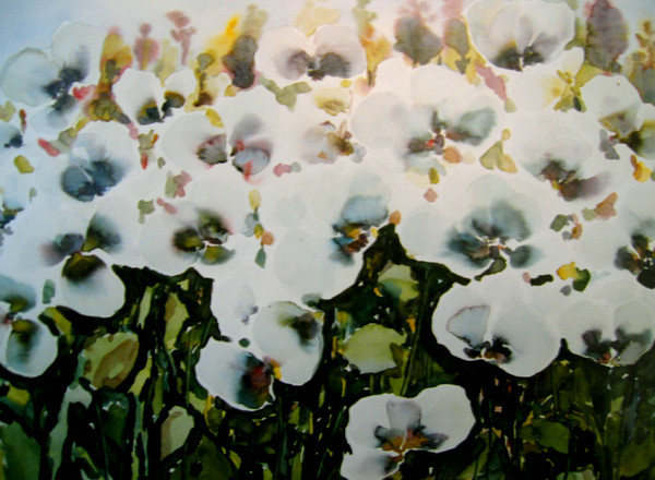 white flowerfield
