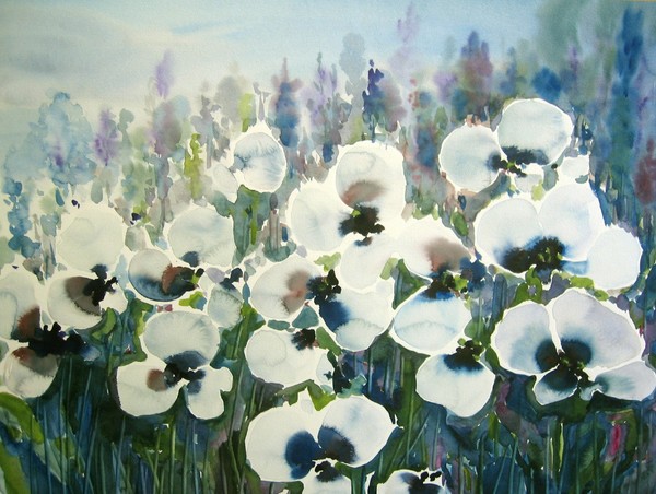 white poppies 2