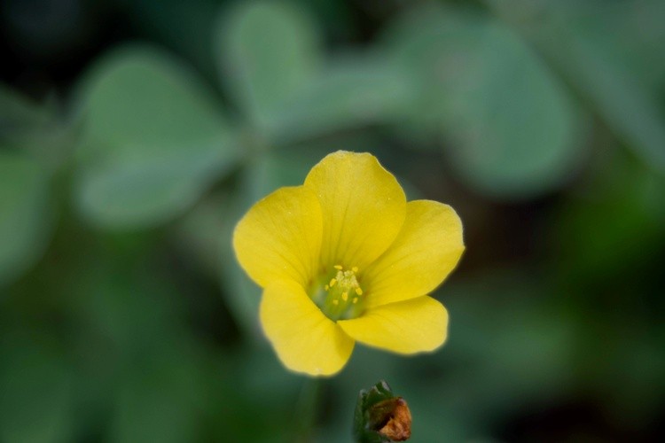 A Little Beauty 2
