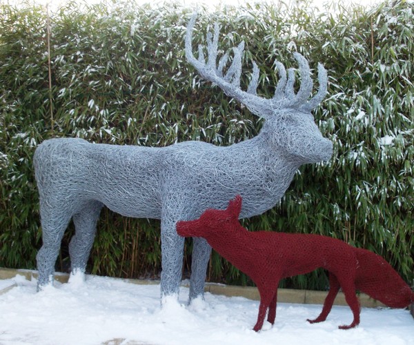 Gary was Quite staggered to see a fox in my garden