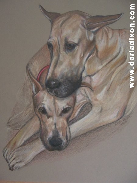Bubba and Babes - Great Danes