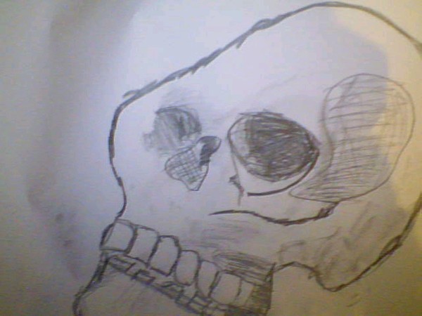 Skull