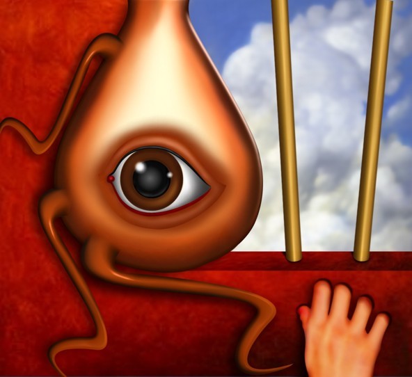 O Observador