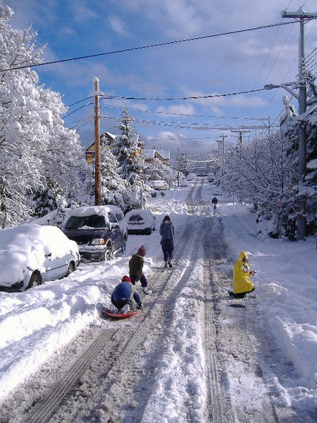 winter snow. dreams. in the land of eternal summer