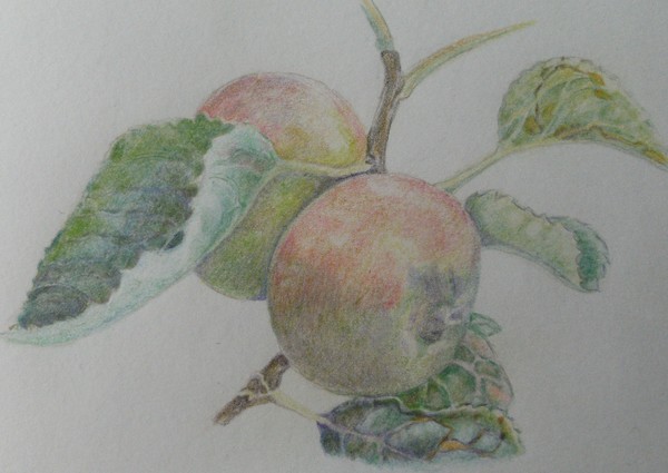 Don't sit under the apple tree........