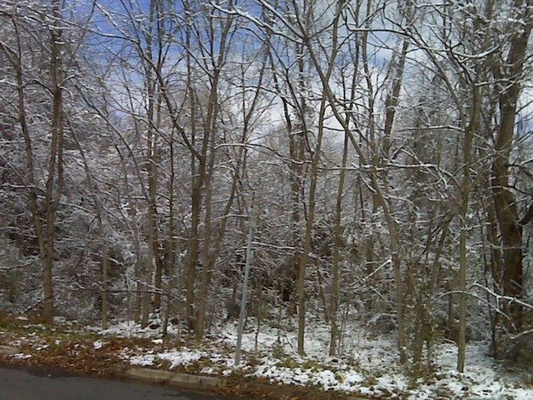 Winter Wonderland