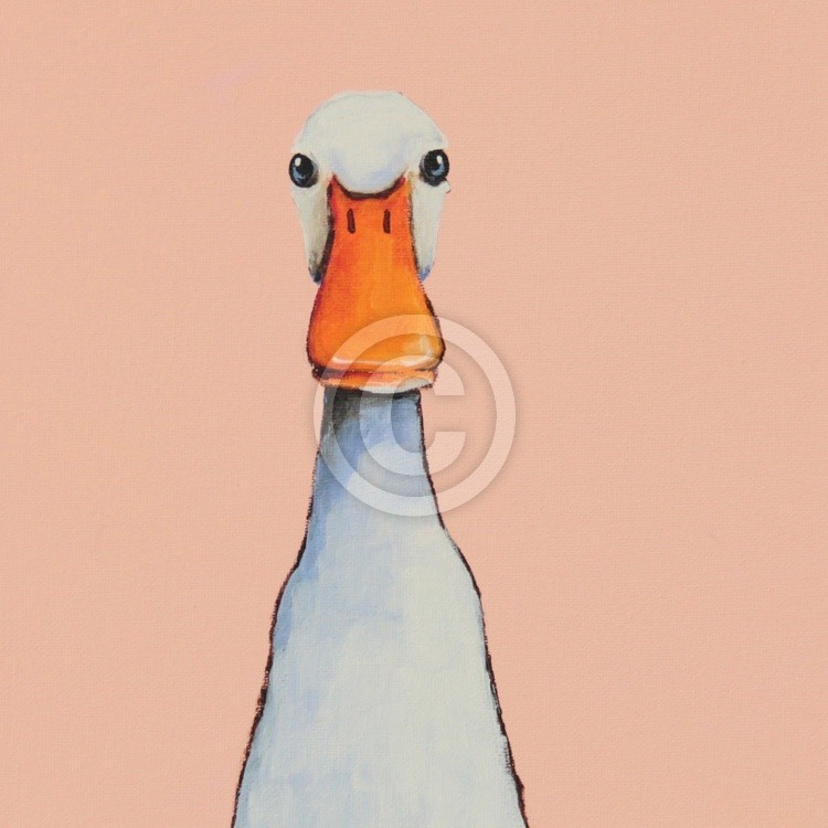Ducking 