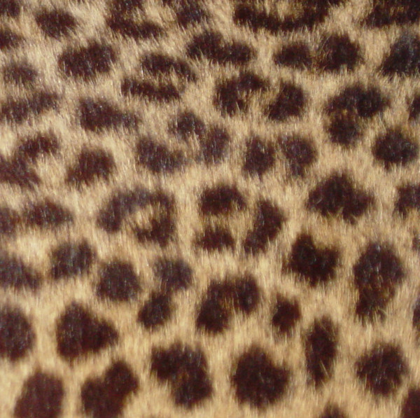 Spot light