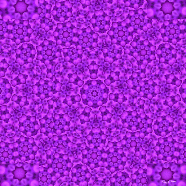 Soft Purples